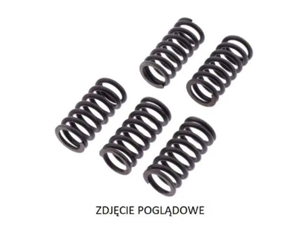spojkové pružiny SUZUKI RM 250 87, RM 80 87-88 (spojkové pružiny SUZUKI RM 250 87, RM 80 87-88)