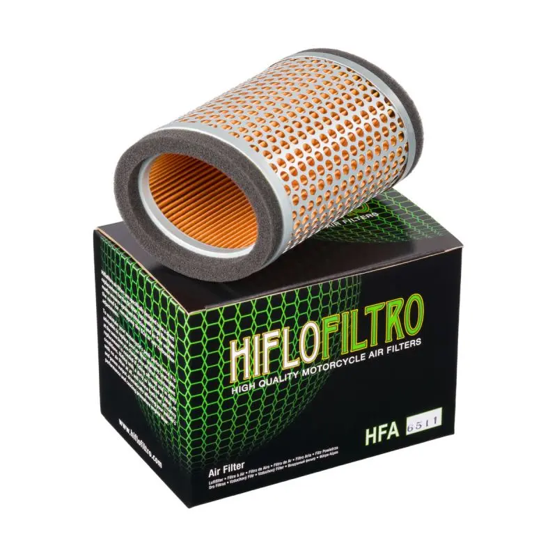 HIFLO vzduchový filtr TRIUMPH THUNDERBIRD 1600 '09-'14, THUNDERBIRD 1700 '10-'18 (T2202450) ( )