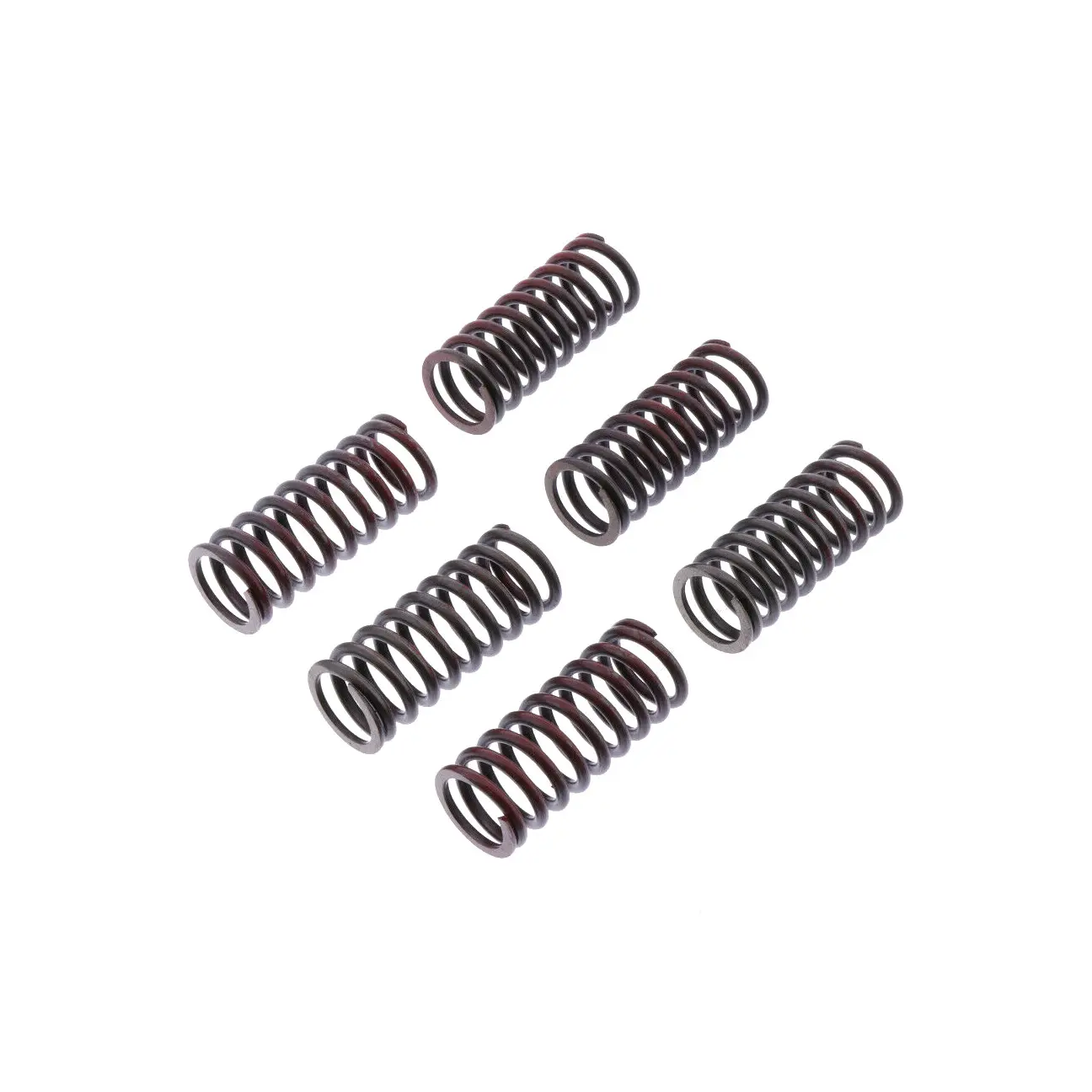 TRW ZF spojkové pružiny DUCATI MONSTER 620 / 696 / 800 05-14, SCRAMBLER 800 15- (TRW ZF spojkové pružiny DUCATI MONSTER 620 / 696 / 800 05-14,)