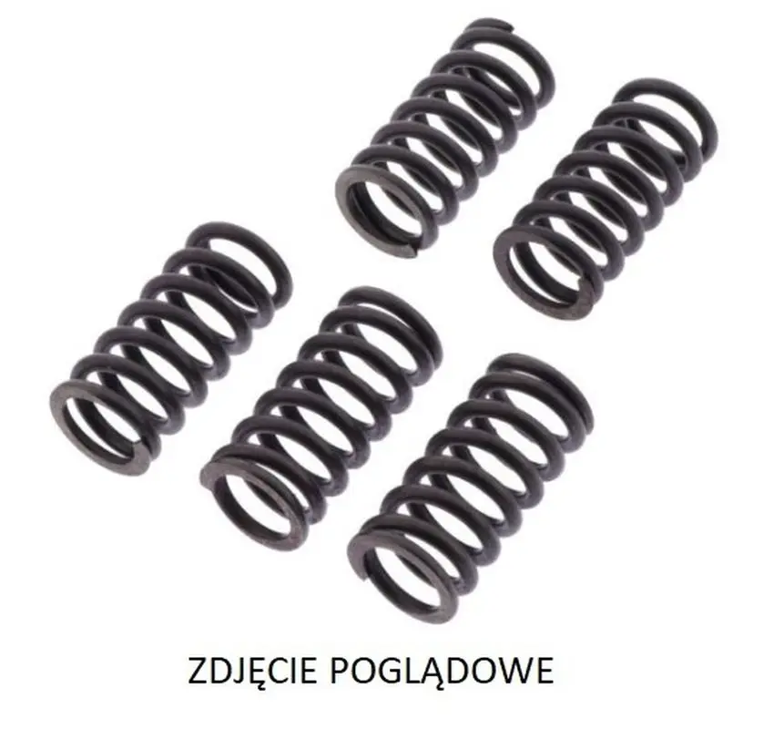 TRW ZF spojkové pružiny KAWASAKI KX 125 03-08, KX 250F 04- (TRW ZF spojkové pružiny KAWASAKI KX 125 03-08, KX 250F 04-)