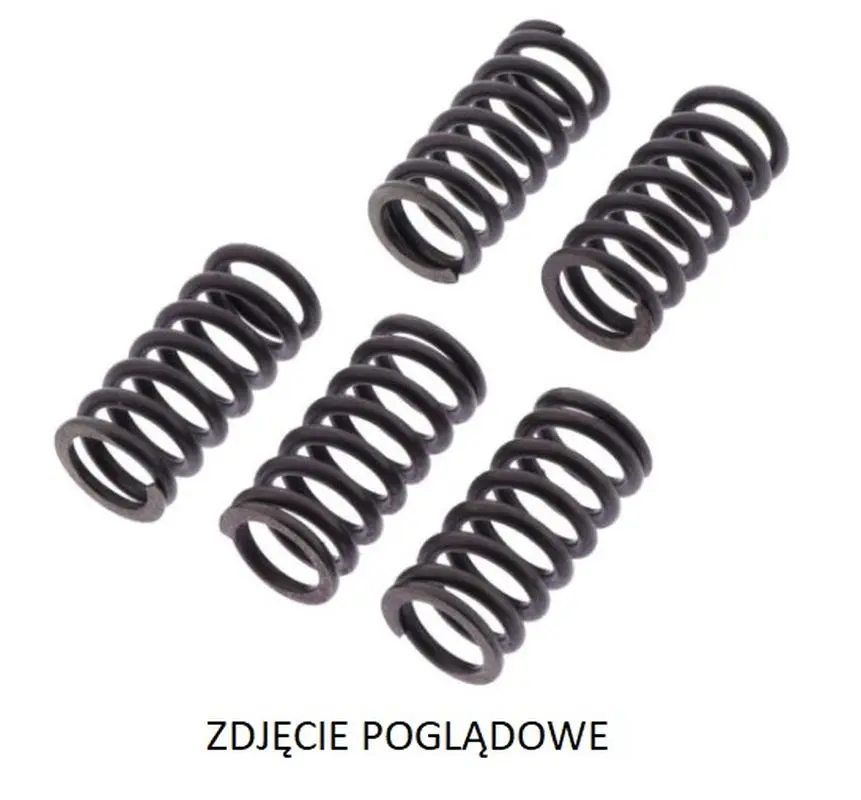 TRW ZF spojkové pružiny BIMOTA DB9 1200 BRIVIDO 12-17, DUCATI HYPERMOTARD 939 15-18, MULTISTRADA/HYPERMOTARD 950 18-, PANIGALE 959 16-, SUPERSPORT 937
