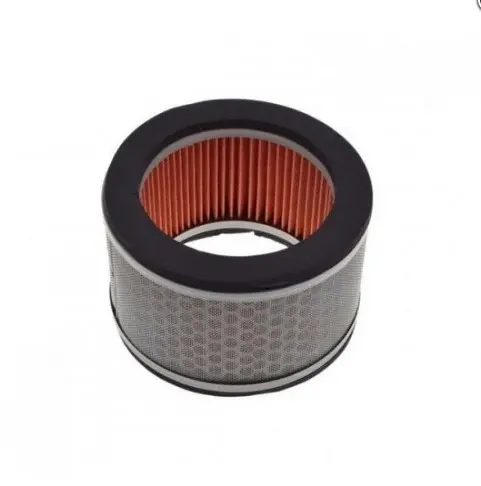 BIKETEC PARTS vzduchový filtr HONDA VT 125 SHADOW '99-'07 (17213-KGB-900) (BIKETEC PARTS vzduchový filtr HONDA VT 125 SHADOW '99-'07 (17213-KGB-900))
