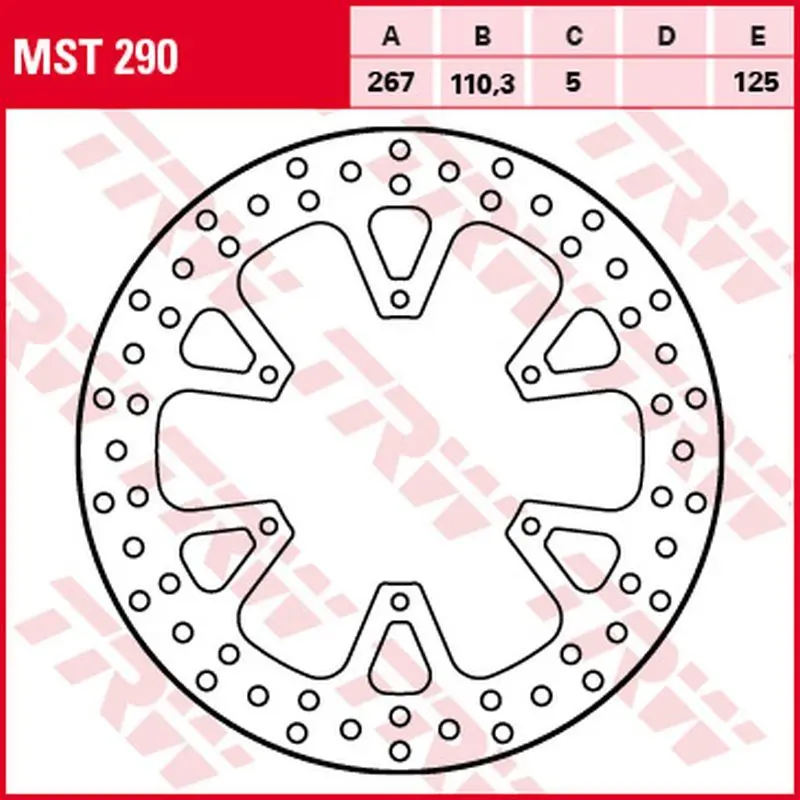 TRW ZF zadní brzdový kotouč KTM 1050 ADV 15-16, 1090 ADV/R 17-19, 1190 ADV/R 13-16, 1290 SUPER ADVENTURE/R/S/T 17-, (267X110X5mm) (TRW ZF zadní)