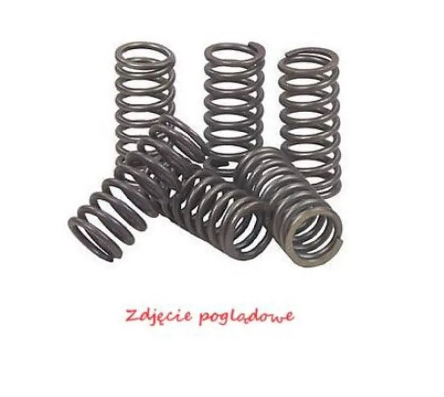 PSYCHIC spojkové pružiny KAWASAKI KLX 450R 08-12, KX 450F 06-11 (PSYCHIC spojkové pružiny KAWASAKI KLX 450R 08-12, KX 450F 06-11)