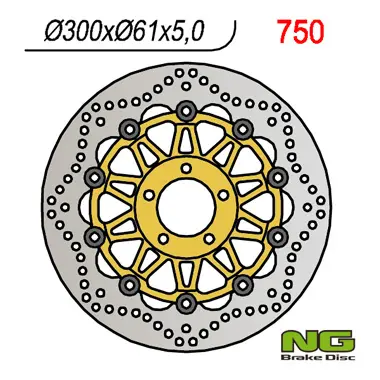NG brzdový kotouč přední KAWASAKI ZX6R 95-02, ZR 550/750 ZEPHYR, ZZR600 90-06 Z750 04- (300X61X5) (5X10,25mm) ( )