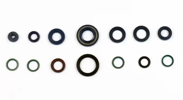 ATHENA sada gufer motoru DUCATI MONSTER 400 / 600 / 750 / 900 '93-'00 , SUPER SPORT 750 / 900 , DUCATI 944 ST2 '97-'98 (ATHENA sada gufer motoru)
