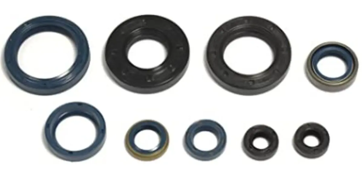 ATHENA sada gufer motoru HUSQVARNA WR 250 92-98, WR 360 92-99, CR 250 91-96 (ATHENA sada gufer motoru HUSQVARNA WR 250 92-98, WR 360 92-99, CR 250)
