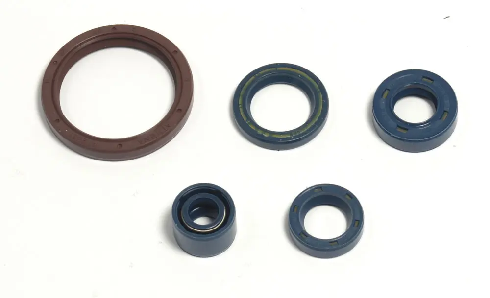 ATHENA sada gufer motoru HUSQVARNA TE 250 03-09, TE 310 09-10, TE 450/510 03-10, TC 250/310/450 (ATHENA sada gufer motoru HUSQVARNA TE 250 03-09, TE)