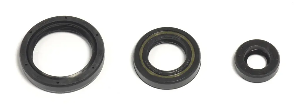 ATHENA sada gufer motoru HUSQVARNA TE/TC 250 10-14, TE/TXC 310 11-14 (ATHENA sada gufer motoru HUSQVARNA TE/TC 250 10-14, TE/TXC 310 11-14)