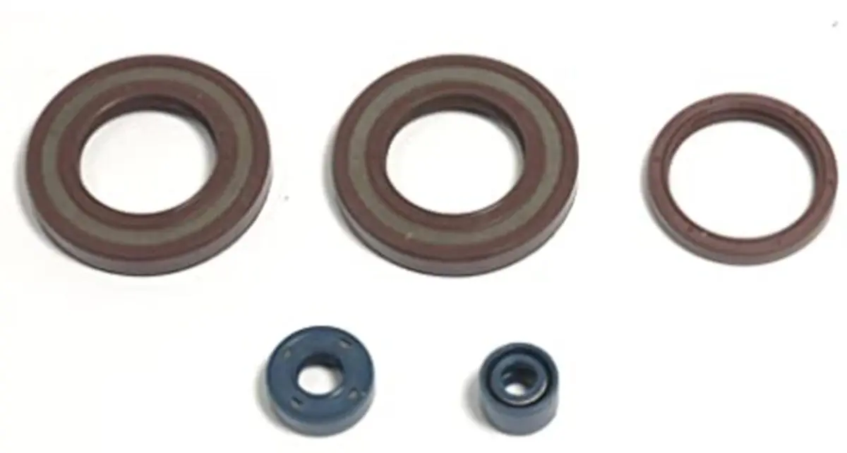ATHENA sada gufer motoru HUSQVARNA TE 350 90-95, TE 400/410 96-04, TE 510 89-91, TE 570 1-04, TE 610 90-06 (ATHENA sada gufer motoru HUSQVARNA TE 350)