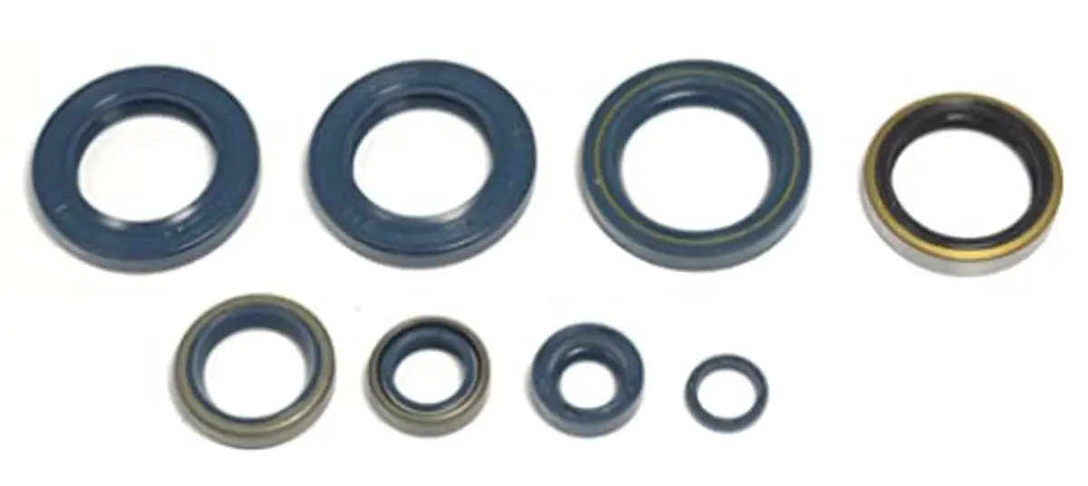 ATHENA sada gufer motoru KAWASAKI KLX 250 93-98 (ATHENA sada gufer motoru KAWASAKI KLX 250 93-98)