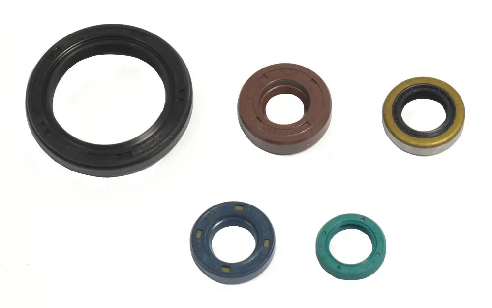 ATHENA sada gufer motoru KAWASAKI KLX 250 09-12, KLX 250S 07-12 (ATHENA sada gufer motoru KAWASAKI KLX 250 09-12, KLX 250S 07-12)