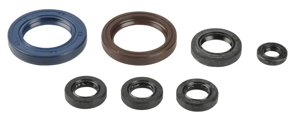 ATHENA sada gufer motoru KTM EXC 250/400/450/520/525 00-06, SXF 400/450/520/525 00-06 (ATHENA sada gufer motoru KTM EXC 250/400/450/520/525 00-06,)