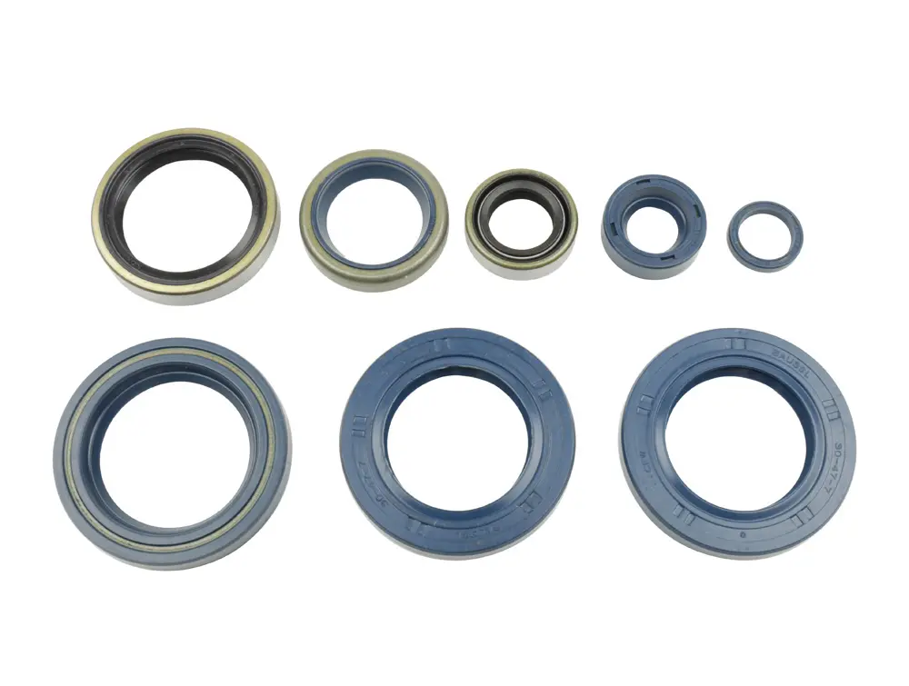 ATHENA sada gufer motoru KTM LC4 625/640/660`03-07 (ATHENA sada gufer motoru KTM LC4 625/640/660`03-07)