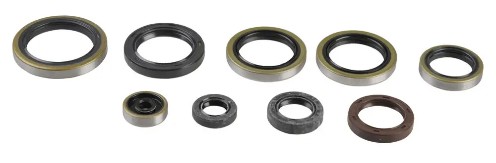 ATHENA sada gufer motoru KTM EXC 250/300 04-16, SX 250 03-16 (ATHENA sada gufer motoru KTM EXC 250/300 04-16, SX 250 03-16)