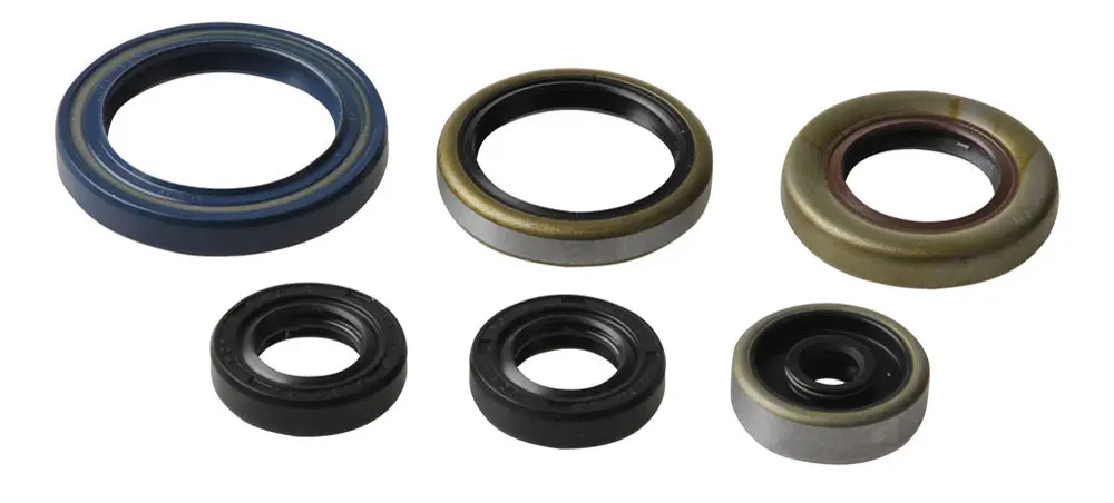 ATHENA sada gufer motoru KTM SX 85 03-17, KTM SX 105 04/11, HUSQVARNA TC 85 14-17 (ATHENA sada gufer motoru KTM SX 85 03-17, KTM SX 105 04/11,)