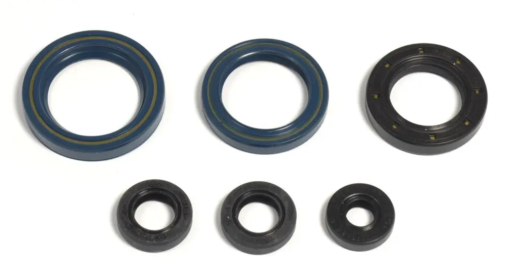 ATHENA sada gufer motoru KTM GS125`87-97, EGS125`95-97 (ATHENA sada gufer motoru KTM GS125`87-97, EGS125`95-97)