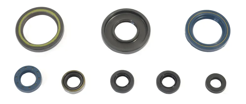 ATHENA sada gufer motoru KTM GS 250 84-89 (ATHENA sada gufer motoru KTM GS 250 84-89)