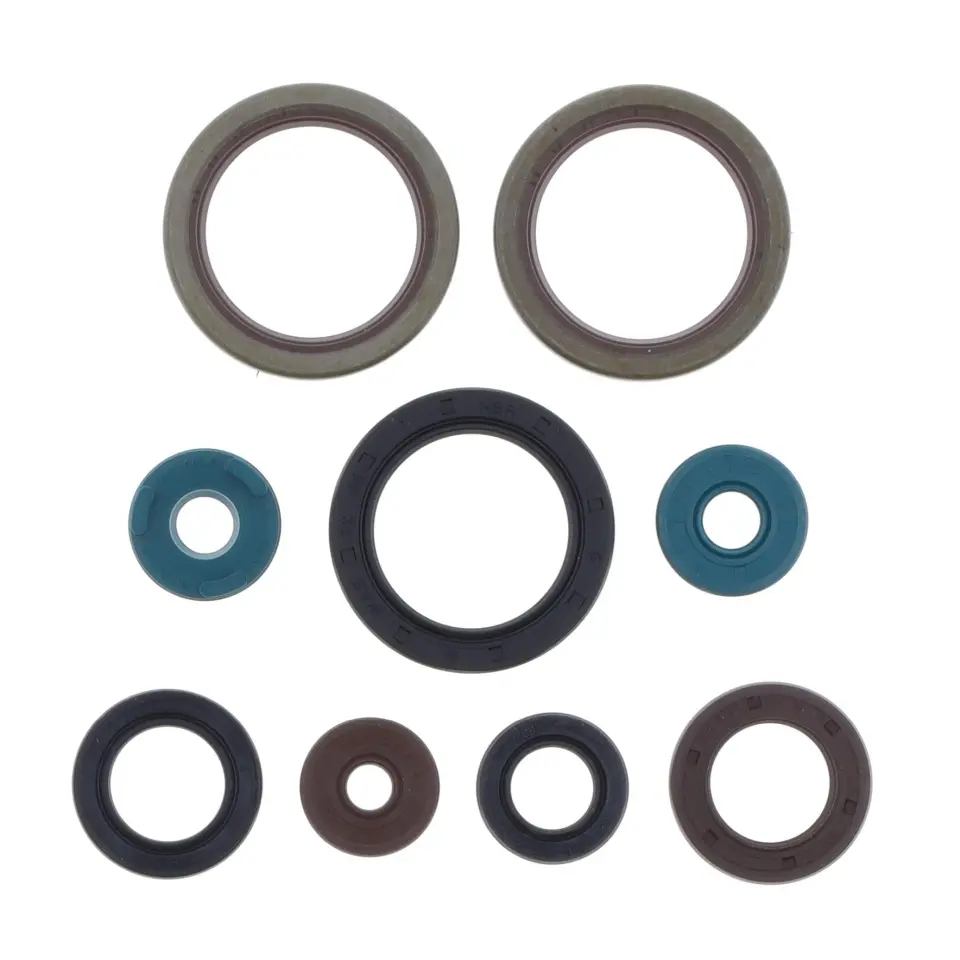 ATHENA sada gufer motoru KTM EXC 400 '05-'08, EXC-F 450 '07-'08, EXC 450 RACING '08-'15, XCR-W 450 '08-'09, XCW 400 '08, XC-W 450 '10 (ATHENA sada)