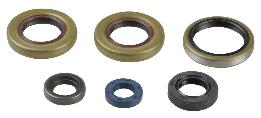 ATHENA sada gufer motoru KTM SX 65 01-08 (ATHENA sada gufer motoru KTM SX 65 01-08)