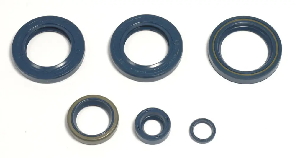 ATHENA sada gufer motoru KTM LC4 EGS400/620`96-98, LC4-E400`98-02, LC4 620`96-01 (ATHENA sada gufer motoru KTM LC4 EGS400/620`96-98, LC4-E400`98-02,)
