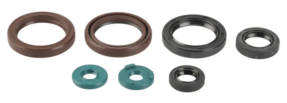 ATHENA sada gufer motoru KTM EXCF400/450/530`09-11 (ATHENA sada gufer motoru KTM EXCF400/450/530`09-11)