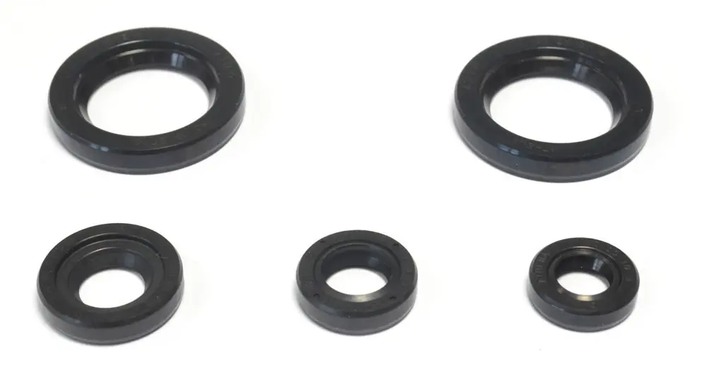 ATHENA sada gufer motoru KTM DUKE 125 '11-16, DUKE 200 '12-16, RC 200 '15-16 (ATHENA sada gufer motoru KTM DUKE 125 '11-16, DUKE 200 '12-16, RC 200)