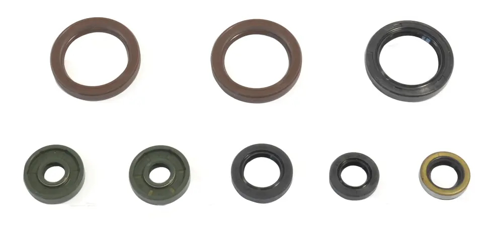 ATHENA sada gufer motoru KTM SXF 450 13, EXCF 450/500 12-13 (ATHENA sada gufer motoru KTM SXF 450 13, EXCF 450/500 12-13)