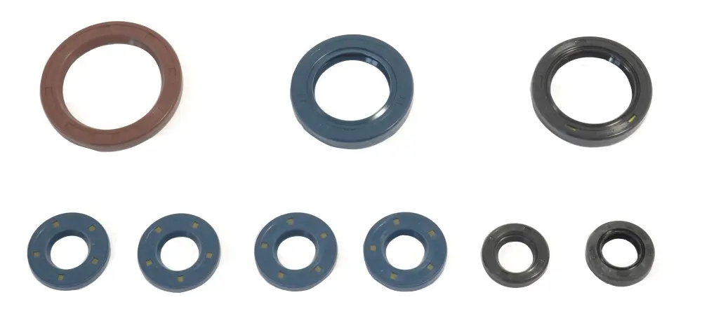 ATHENA sada gufer motoru KTM SXF 250 13-15, EXCF 250 14 (ATHENA sada gufer motoru KTM SXF 250 13-15, EXCF 250 14)