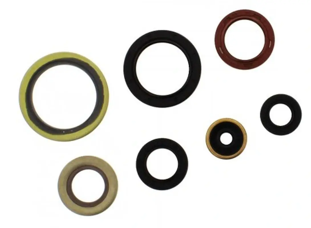 ATHENA sada gufer motoru GAS GAS EC 2T 250 / 300 '21-'26, KTM EXC 250 / 300 '17-'26, EXC 250 TPI '18-'26, SX 250 '17-'26, HUSQVARNA TE 250 / 300