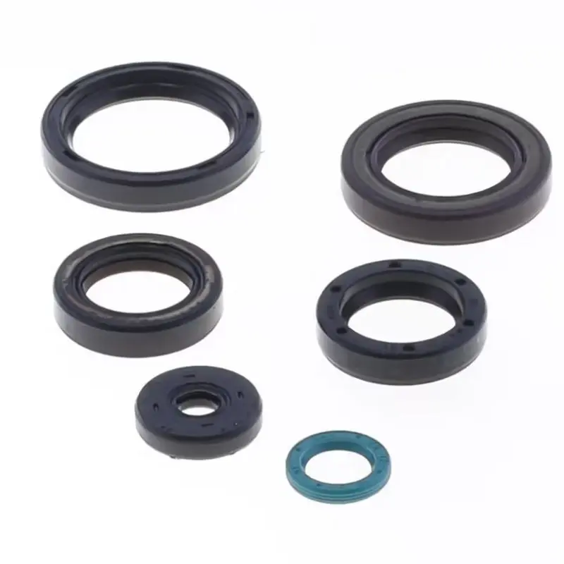 ATHENA sada gufer motoru TM EN / MX 250 / 300 15-18 (ATHENA sada gufer motoru TM EN / MX 250 / 300 15-18)