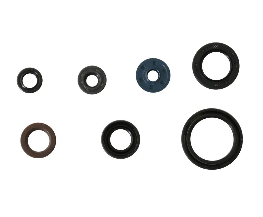 ATHENA sada gufer motoru YAMAHA YZF 250 '14-'18, WR 250F '15-'18 (WR250F) (ATHENA sada gufer motoru YAMAHA YZF 250 '14-'18, WR 250F '15-'18 (WR250F))