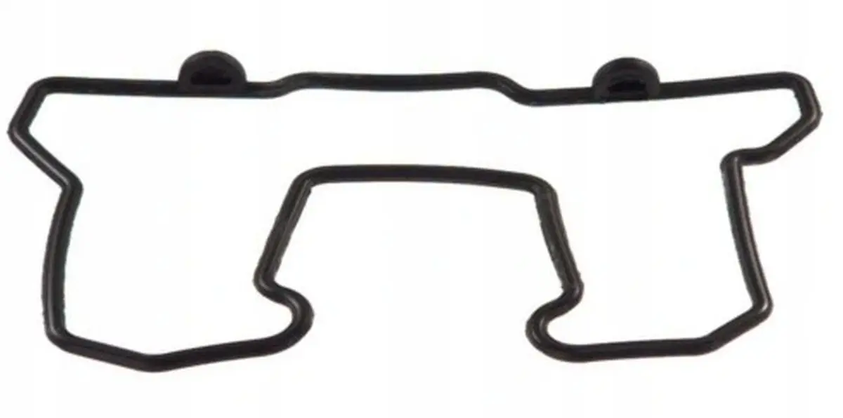 ATHENA těsnění víka ventilů KAWASAKI KLR 650 87-04, KLR 600 84-89, KLR 650 TENGAI 89-91, OEM, 110091365 (ATHENA těsnění víka ventilů KAWASAKI KLR 650)