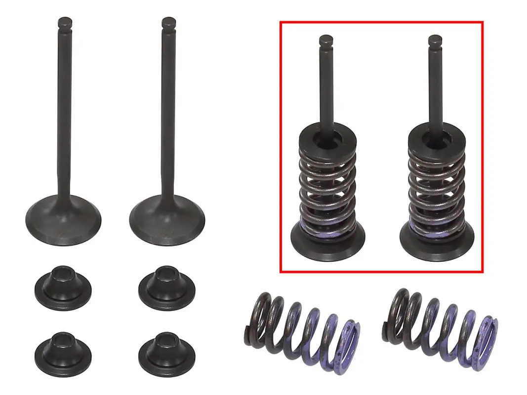 PSYCHIC výfukové ventily (sada 2 ks ventilů s pružinami a podložkami) YAMAHA WRF 250 '15-'23, YZF 250 '14-'23, YZF 250 FX '15-'18 (XU-09553EK) ( )