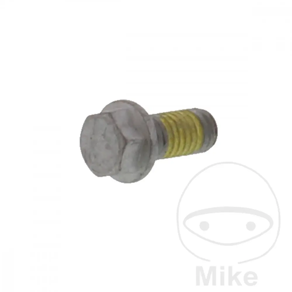 Originální díl šroub Brzdový kotouč GAS GAS EC 250 21-24, GAS EC 250 F 21-24, GAS EC 300 21-24, GAS EC 350 F 21-24, GAS EC 450 F 24, GAS EC 500 F 24,