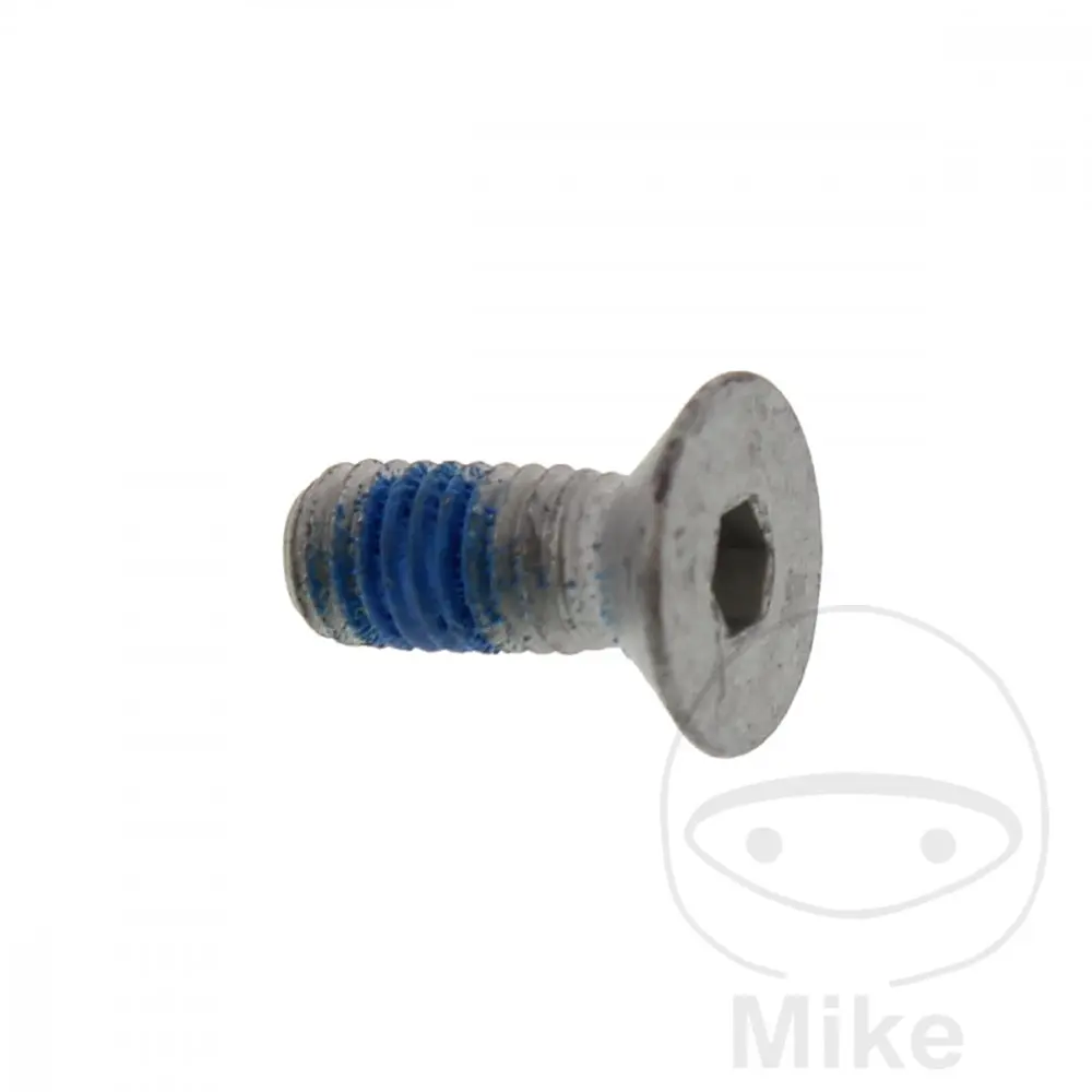 Originální díl šroub Brzdový kotouč BMW K 75 /2  ABS 91-94, K 75 /2 EDITION 96, K 75 /2 EDITION ABS 96, K 75 S 85-95, K 75 S  ABS 85-95, K 75 RT