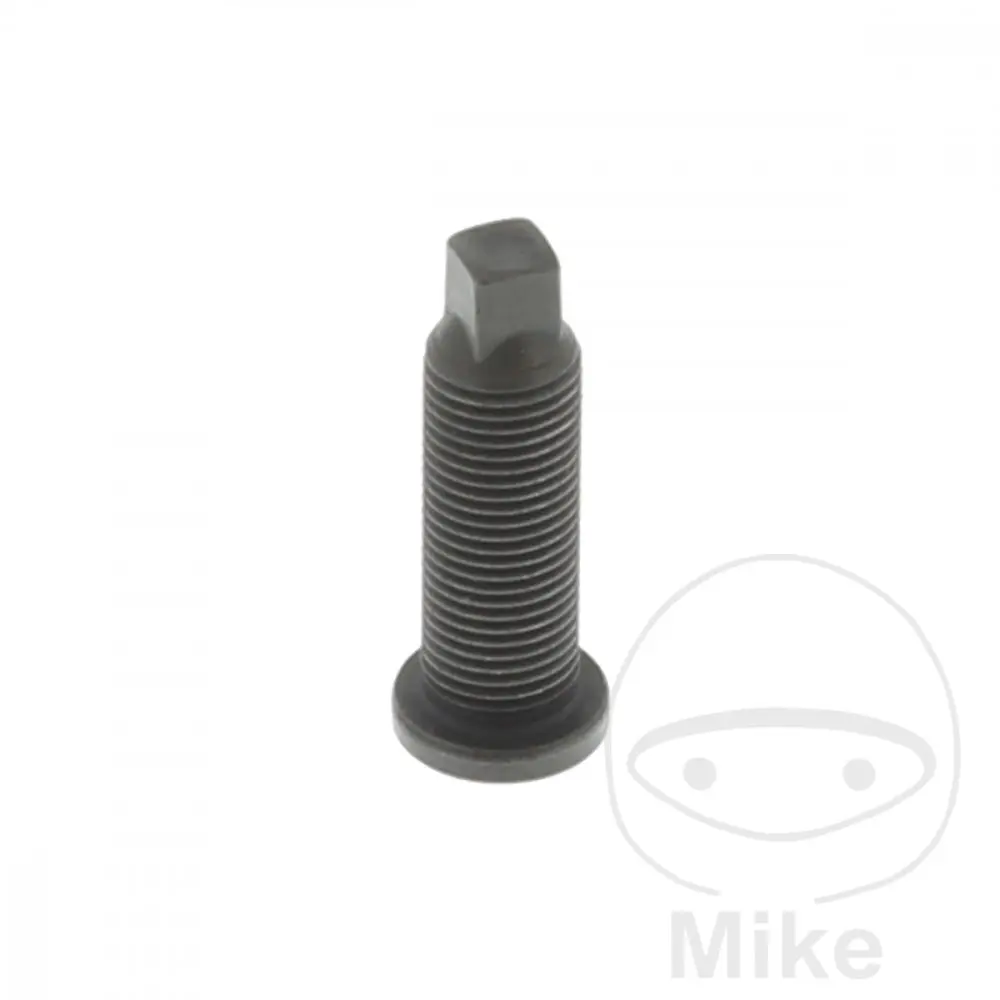 Originální díl seřizovací šroub YAMAHA MT 125 14-16, MT 125 A  ABS 14-16, YP 125 R X-MAX 14-15, YP 125 RA X-MAX ABS 14-15, YZF-R 125 14-15, YZF-R 125