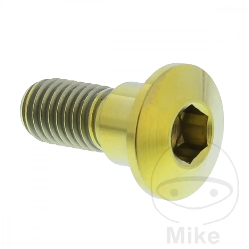 JMP šroub brzdového kotouče Bolt M8X1.25 mm 22 mm Titan zlatá barva SUZUKI AN 250 BURGMAN 03-06, AN 400 BURGMAN 03-16, AN 400 S BURGMAN 05-06, AN 400