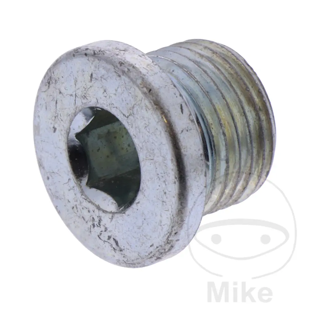 JMP šroub výpust oleje BMW G 310 GS  ABS 23-25, G 310 R  ABS 23-25, K 1600 GTL HAVANNA ABS DTC ESA SCHMIEDERAD 24, R 1800 R18 B 23-25, R 1800 R18 B