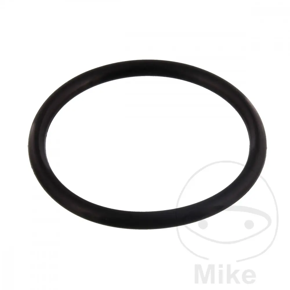 Originální díl těsnění napínáku rozvodového řetězu TRIUMPH THUNDERBIRD 1600 09-13, THUNDERBIRD 1600  ABS 10-17, THUNDERBIRD 1700 LT  ABS 14-18,
