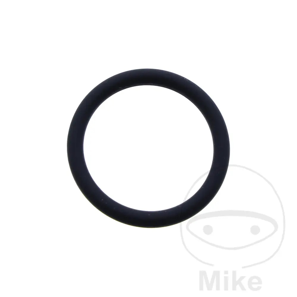 Originální díl O-kroužek 2.62X20.29MM TRIUMPH DAYTONA 675 06-12, DAYTONA 675 R 11-12, STREET TRIPLE 675 08-12, STREET TRIPLE 675 R 09-12 ( )
