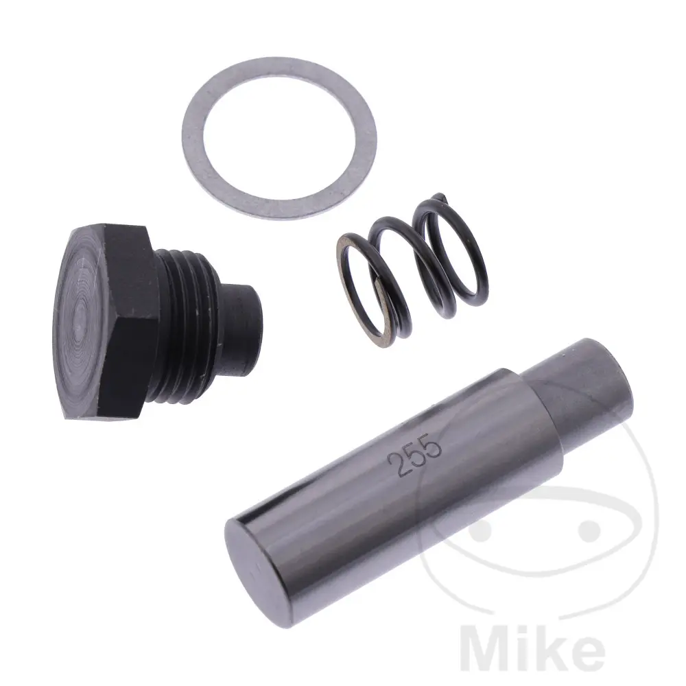 Originální díl rozvodový řetěz napínák sada BMW F 650 800 GS 08-12, F 650 800 GS  ABS 08-12, F 700 800 GS  ABS 13-17, F 700 800 GS  ABS ESA 17, F 800