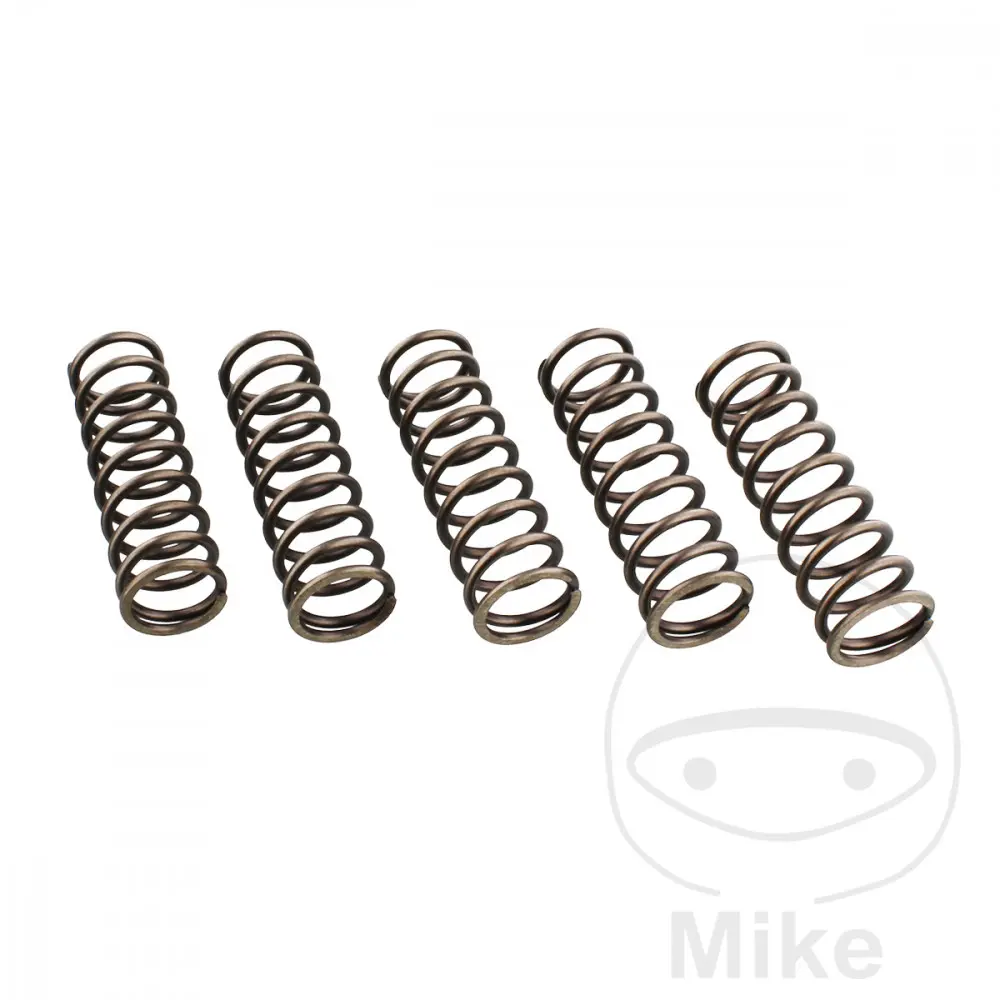 EBC spojkové pružiny zesílené EBC Obsahuje 6 kusů BMW F 650 650 GS 07-08, F 650 650 GS  ABS 07-08, F 650 650 GS DAKAR 07-08, F 650 650 GS DAKAR ABS