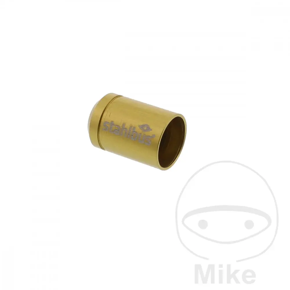 Stahlbus prachovka odzdušňovacího šroubu zlatá BMW G 650 XCOUNTRY 07-10, G 650 XCOUNTRY ABS 07-10, G 650 XCHALLENGE 07-10, G 650 XCHALLENGE ABS 07-10,