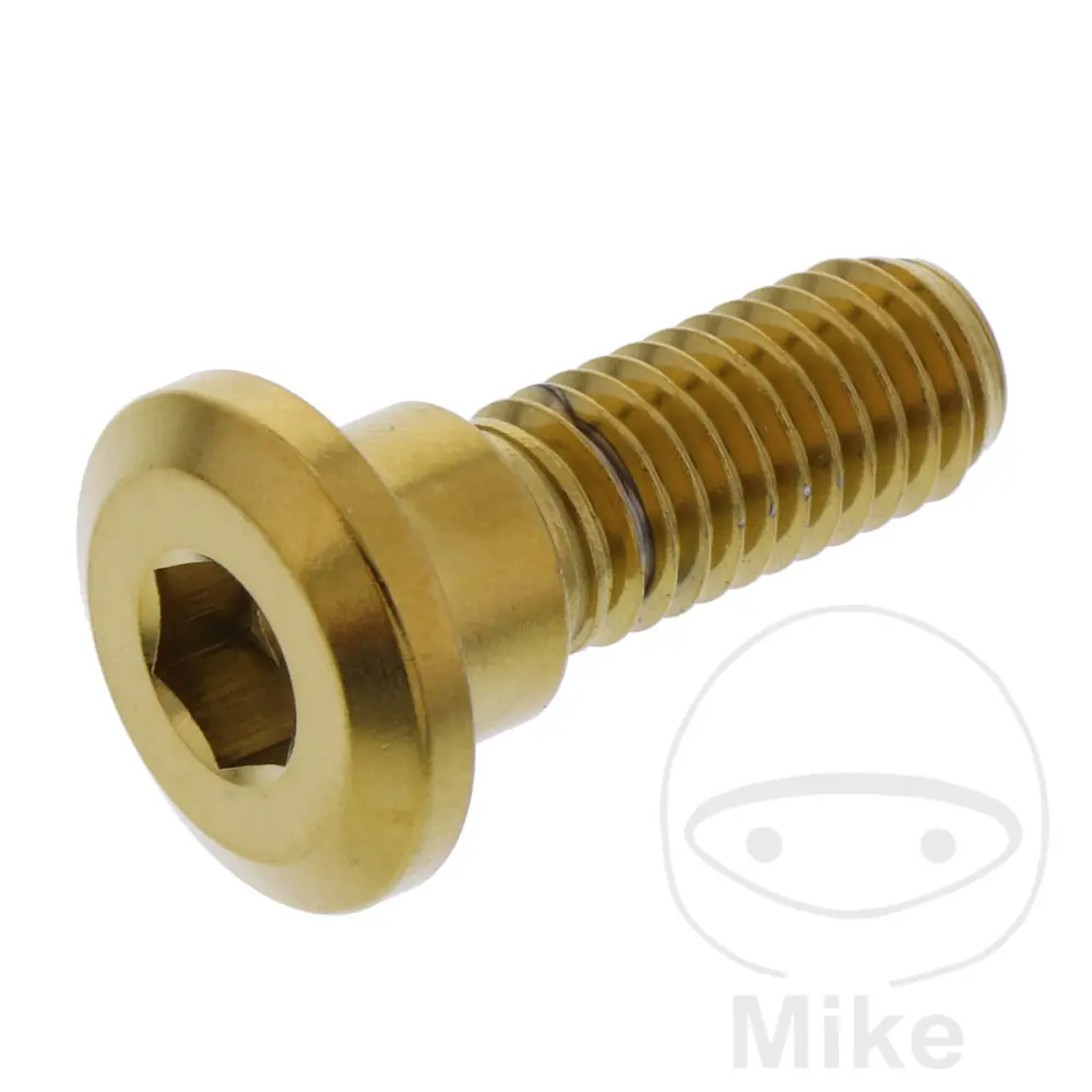 JMP šrouby brzdového kotouče M8X1.25 mm 24 mm nerez V4A zlatý HONDA ADV 350 A  ABS 22-24, AFS 110 2SH I WAVE 12-14, AFS 110 CSF I WAVE 15-16, ANF 125