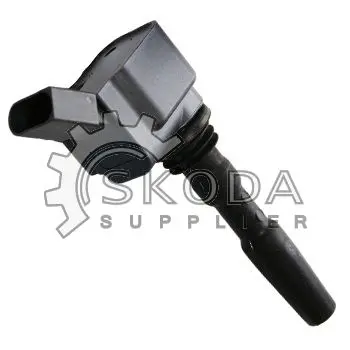 Zapalovací cívka BorgWarner (BERU) ZSE126