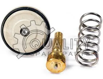 Termostat, chladivo TOPRAN 113 287