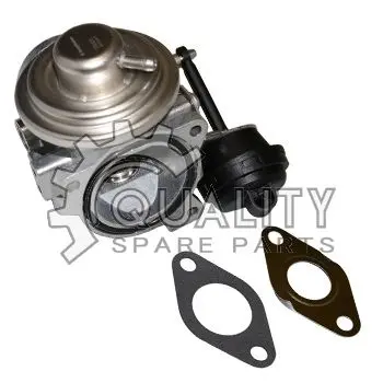 AGR-Ventil BORGWARNER 7293D
