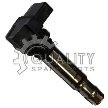 Zapalovací cívka BorgWarner (BERU) ZSE030