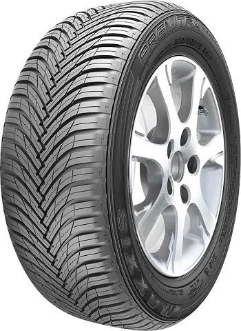 Maxxis 255/35R19 96W AP3 TL XL